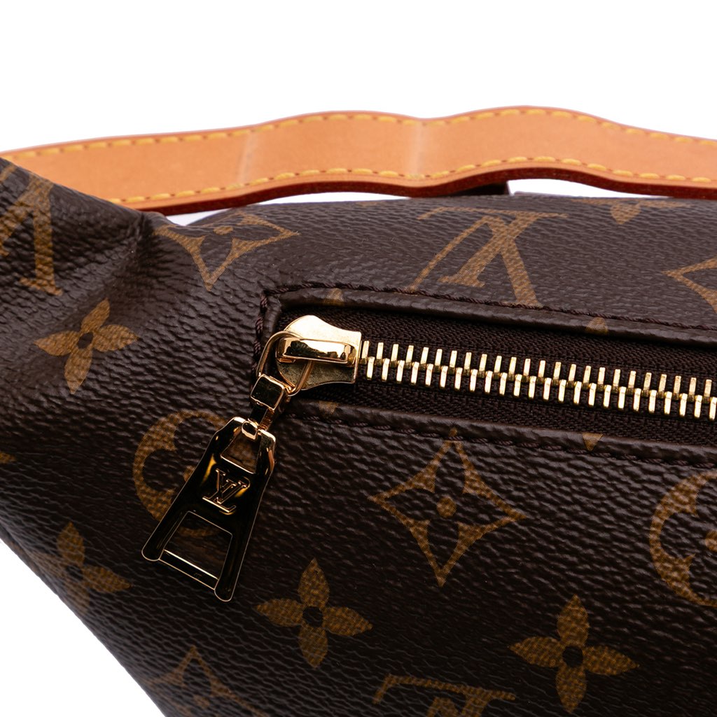 Louis Vuitton Monogram Bumbag - Image 10