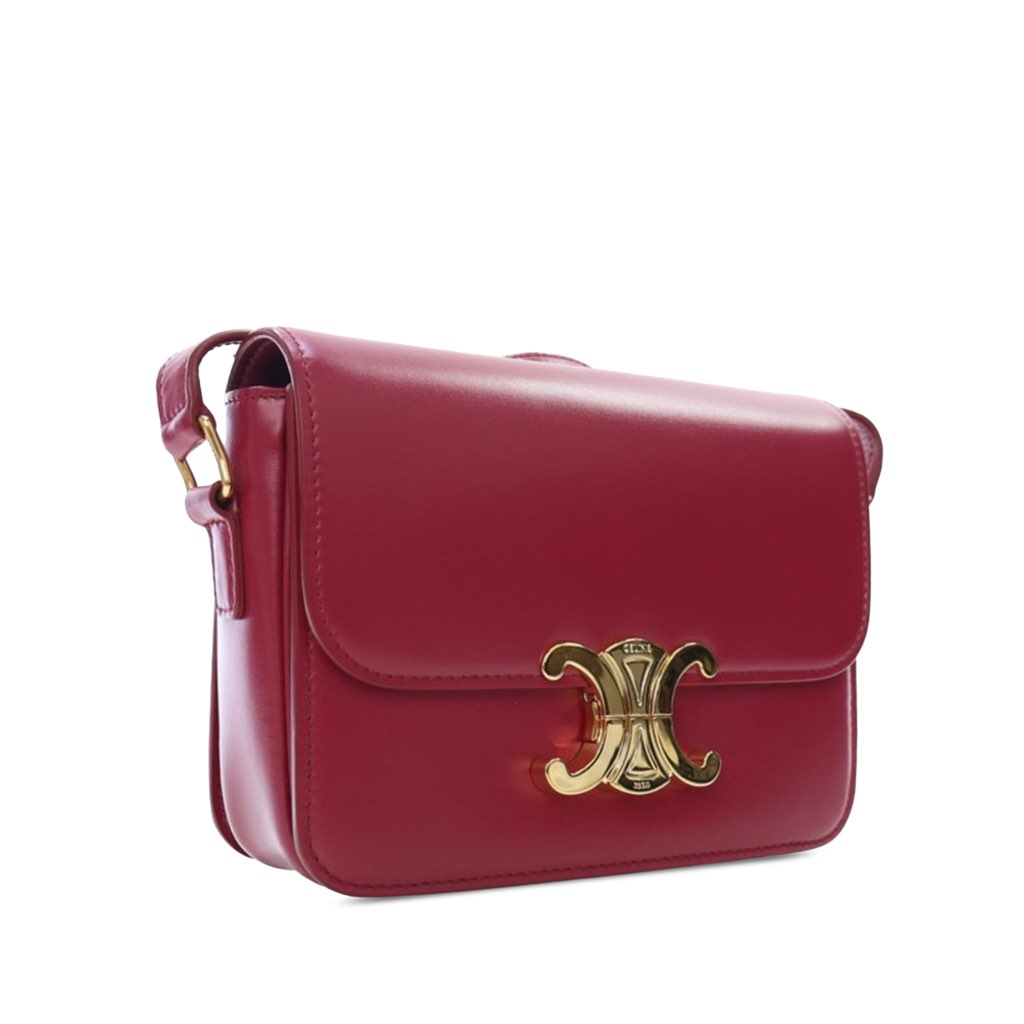 Celine Teen Shiny Calfskin Triomphe Crossbody - 2