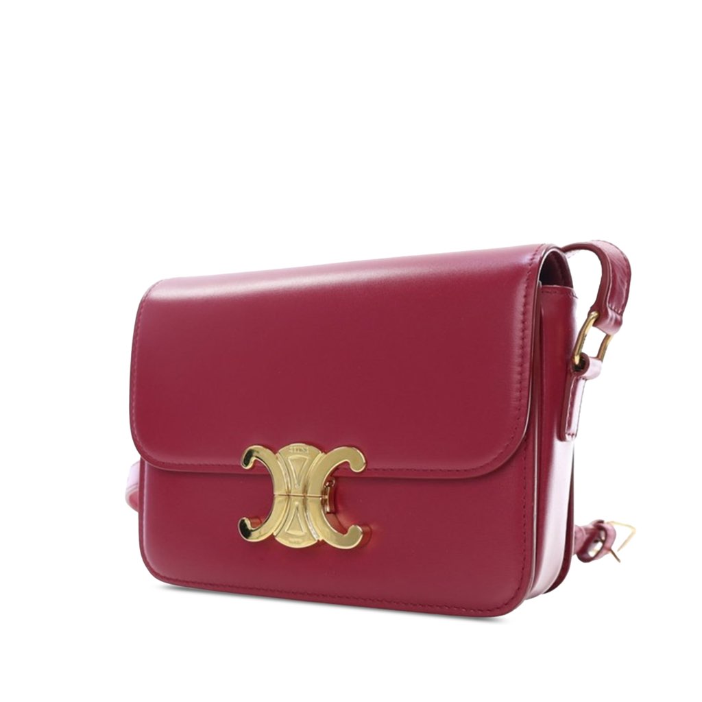 Celine Teen Shiny Calfskin Triomphe Crossbody - 3