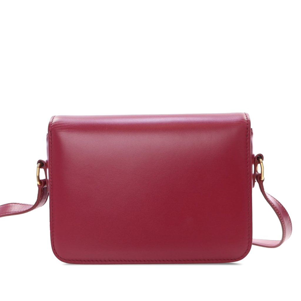 Celine Teen Shiny Calfskin Triomphe Crossbody - 4