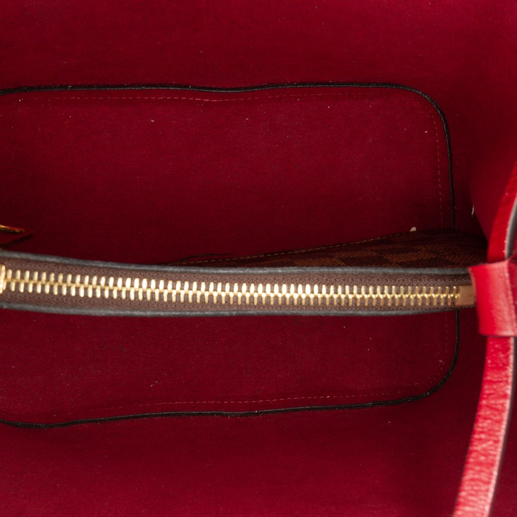 Louis Vuitton Damier Ebene Neonoe MM - 4