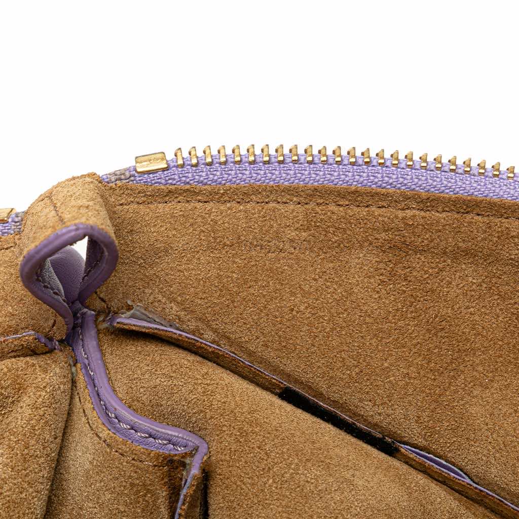 Loewe Small Shiny Calfskin Paseo Satchel - Image 13