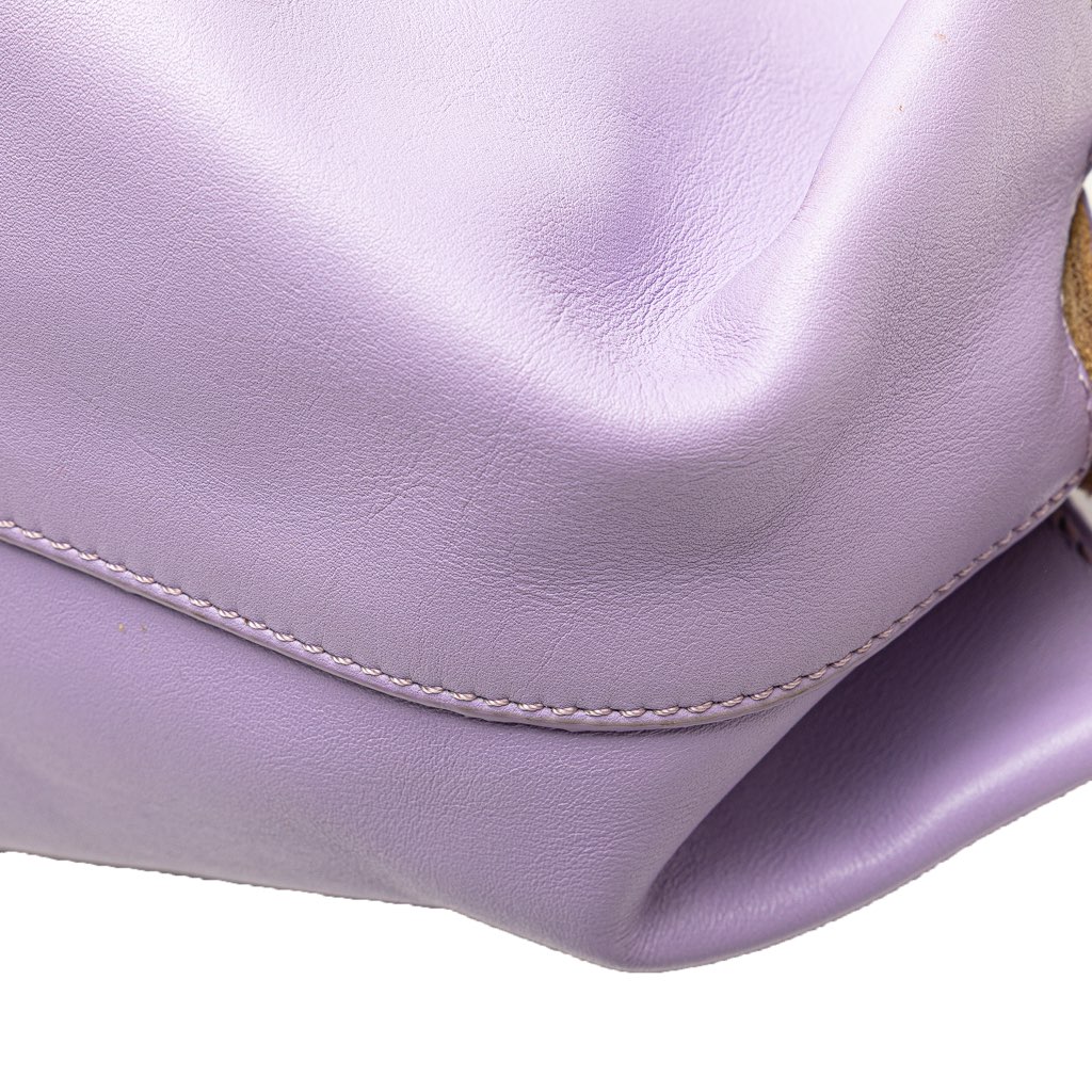 Loewe Small Shiny Calfskin Paseo Satchel - Image 10