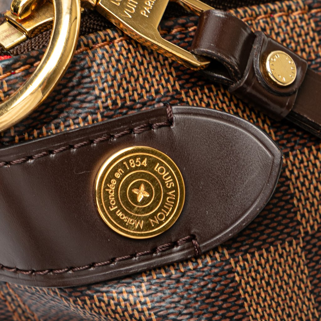 Louis Vuitton Damier Ebene Duomo Hobo - Image 10