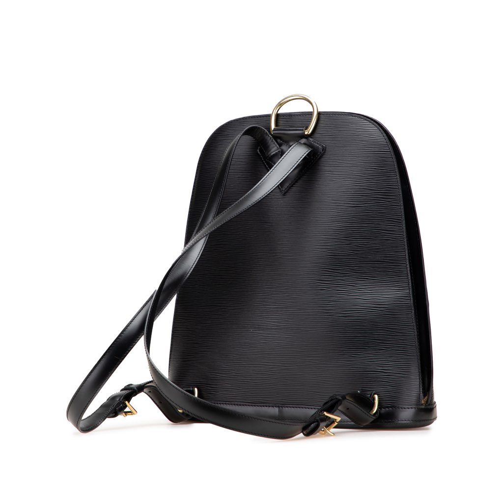 Louis Vuitton Epi Gobelins - 2