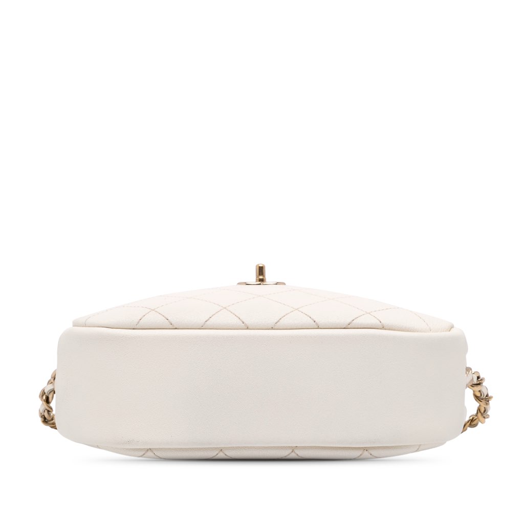 Chanel Medium Quilted Goatskin Casual Trip Camera Bag - 3