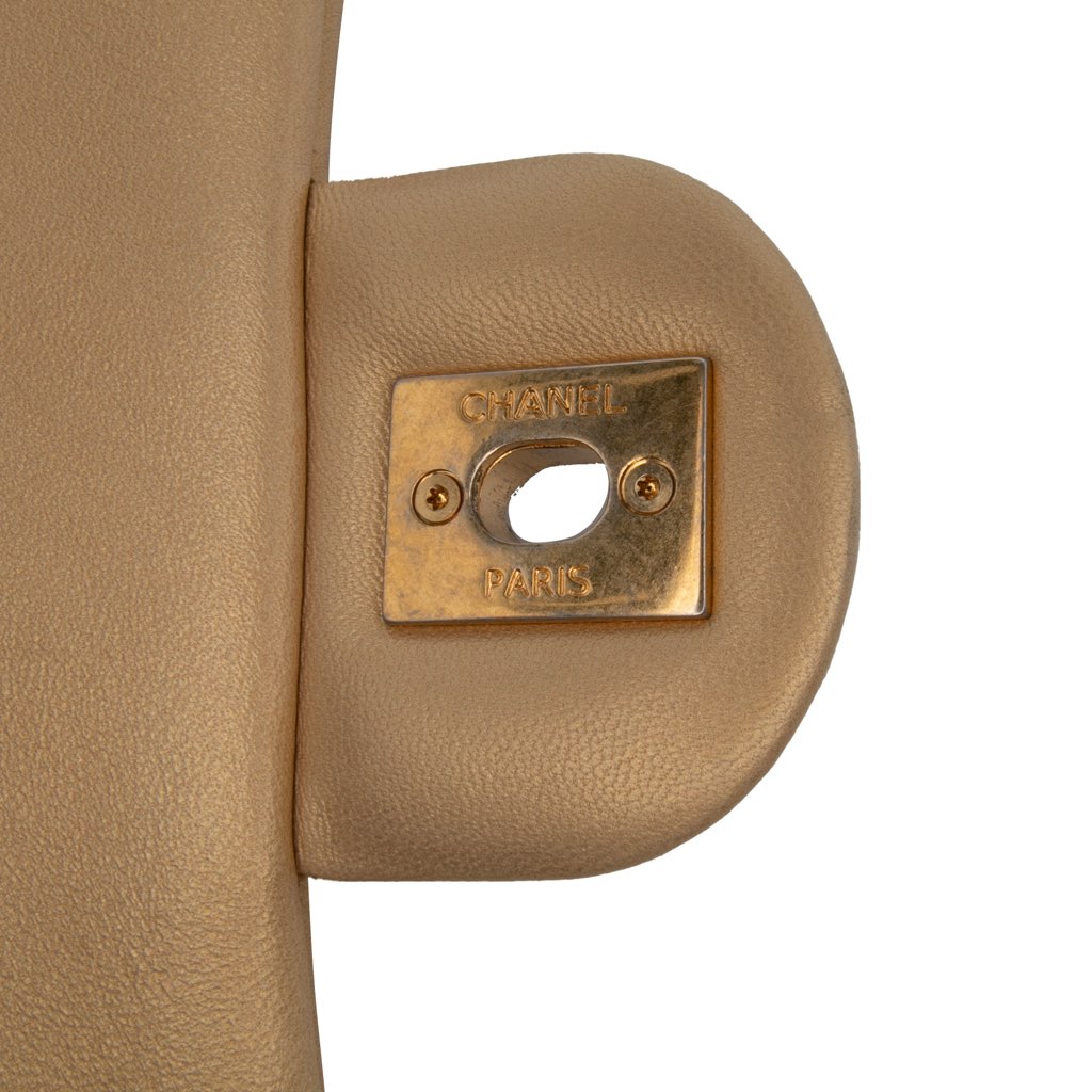 Chanel Mini Quilted Chevron Lambskin Camera Case Flap - Side view