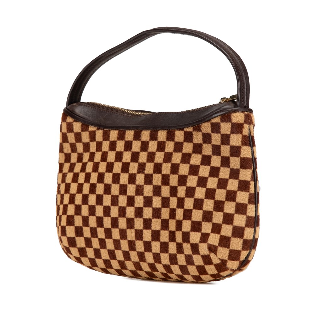 Louis Vuitton Damier Sauvage Tigre - 2