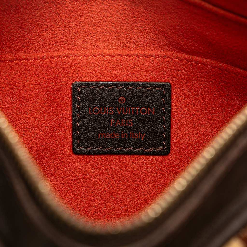 Louis Vuitton Damier Sauvage Tigre - 5