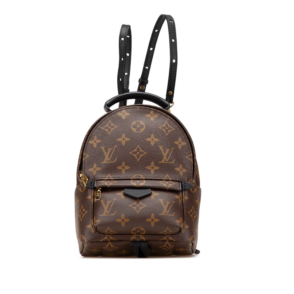 Louis Vuitton Monogram Mini Palm Springs