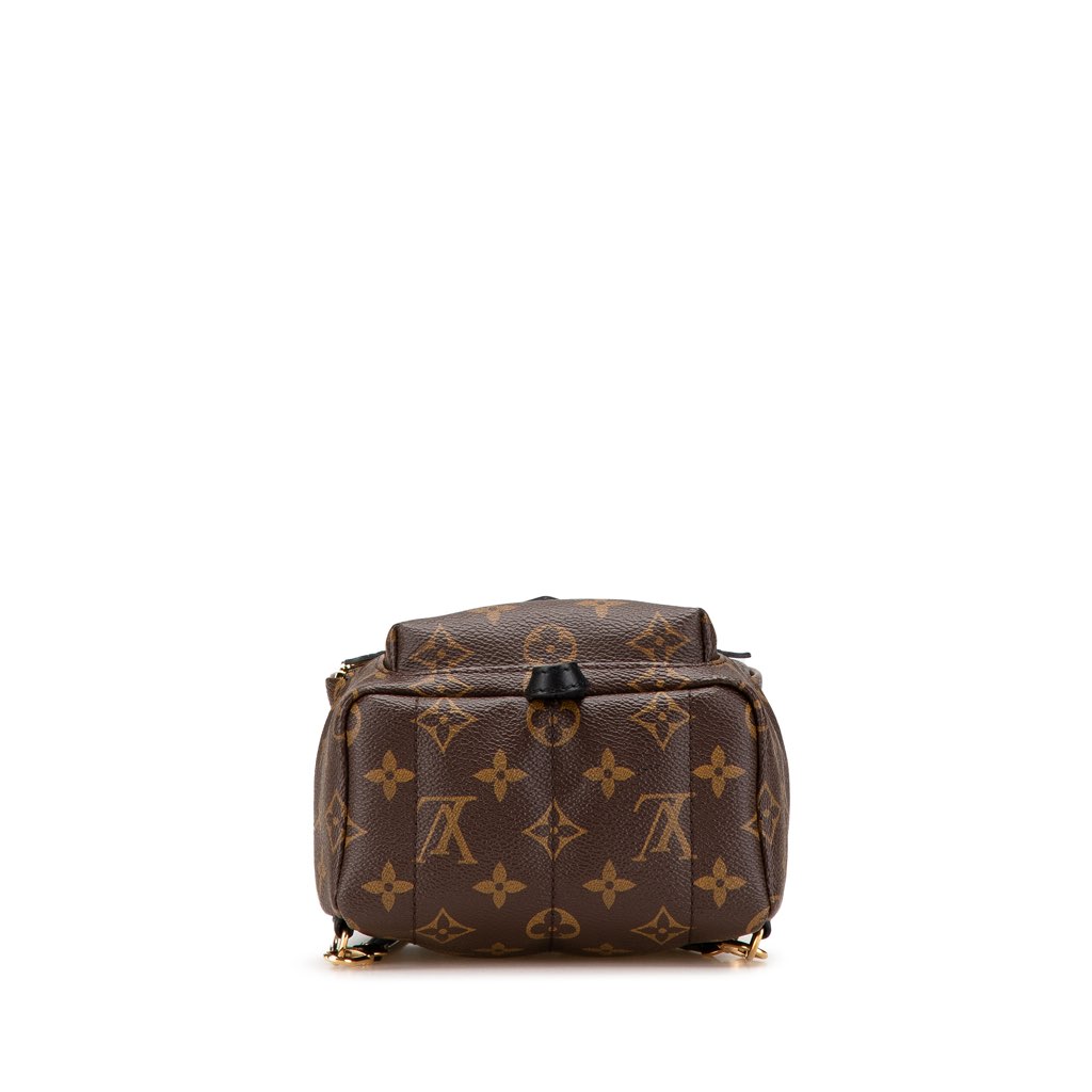 Louis Vuitton Monogram Mini Palm Springs - 3