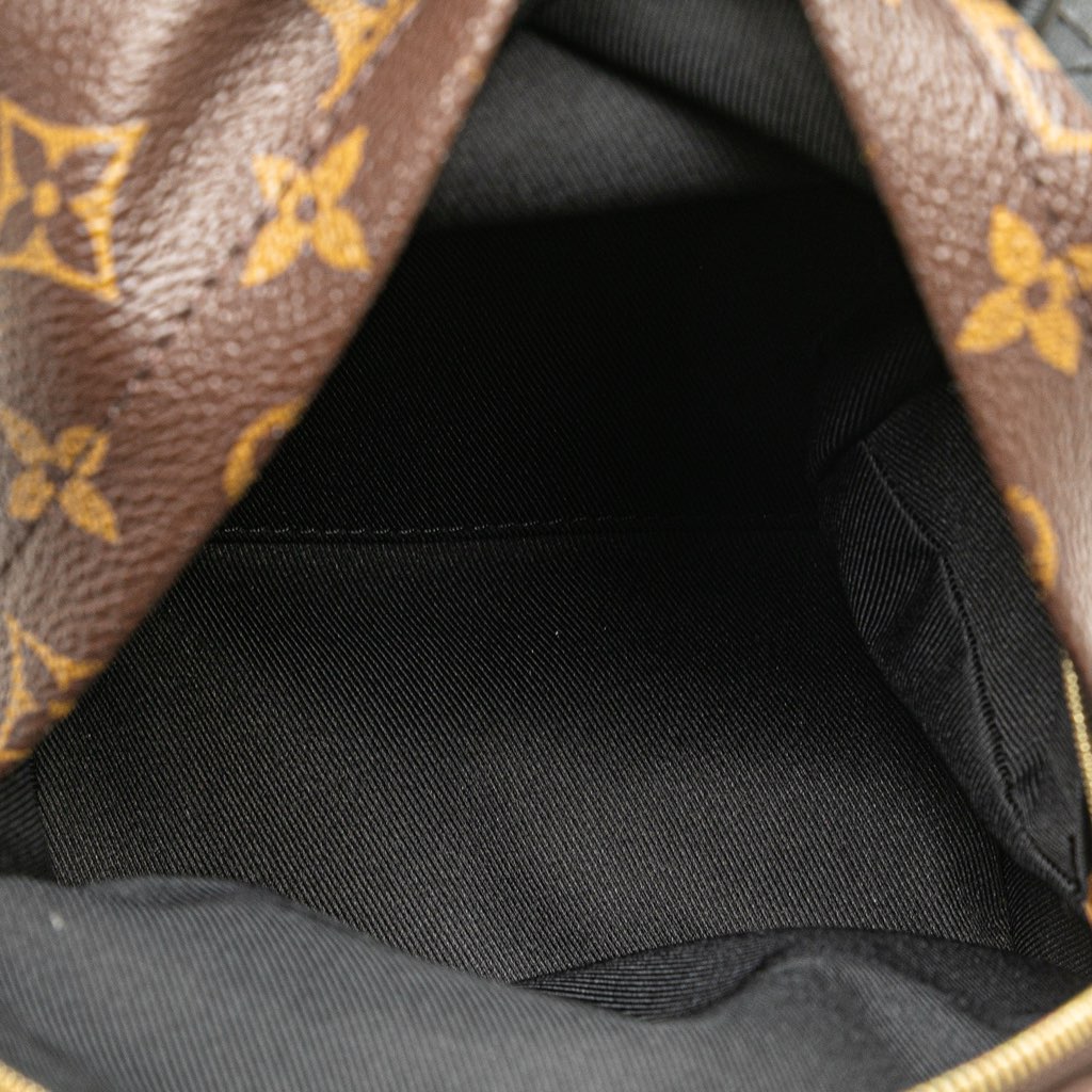 Louis Vuitton Monogram Mini Palm Springs - 4