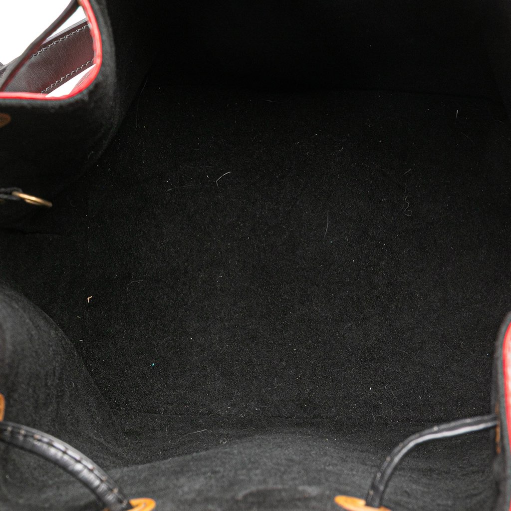 Louis Vuitton Epi Petit Bicolor Noe - 4