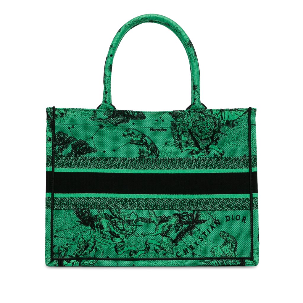 Dior Medium Embroidered Canvas Book Tote - 3