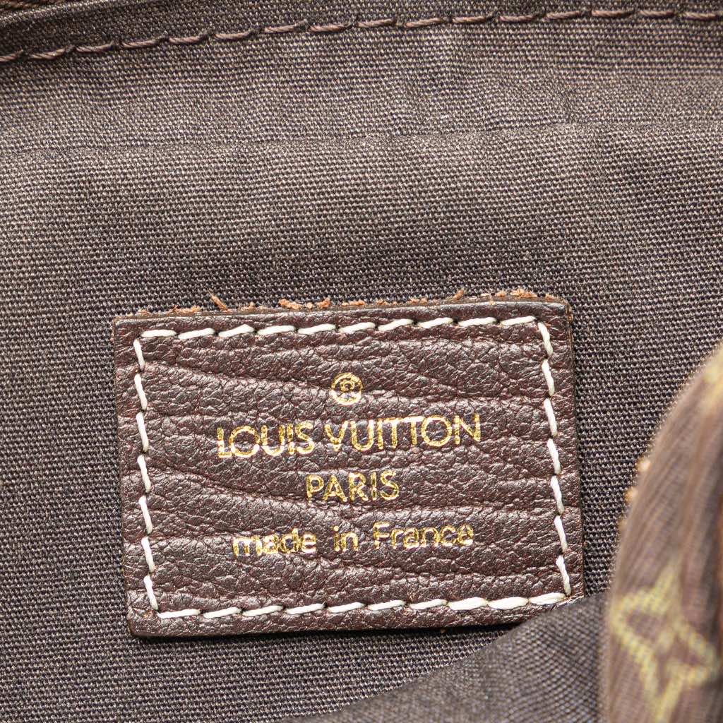 Louis Vuitton Monogram Mini Lin Danube - 5