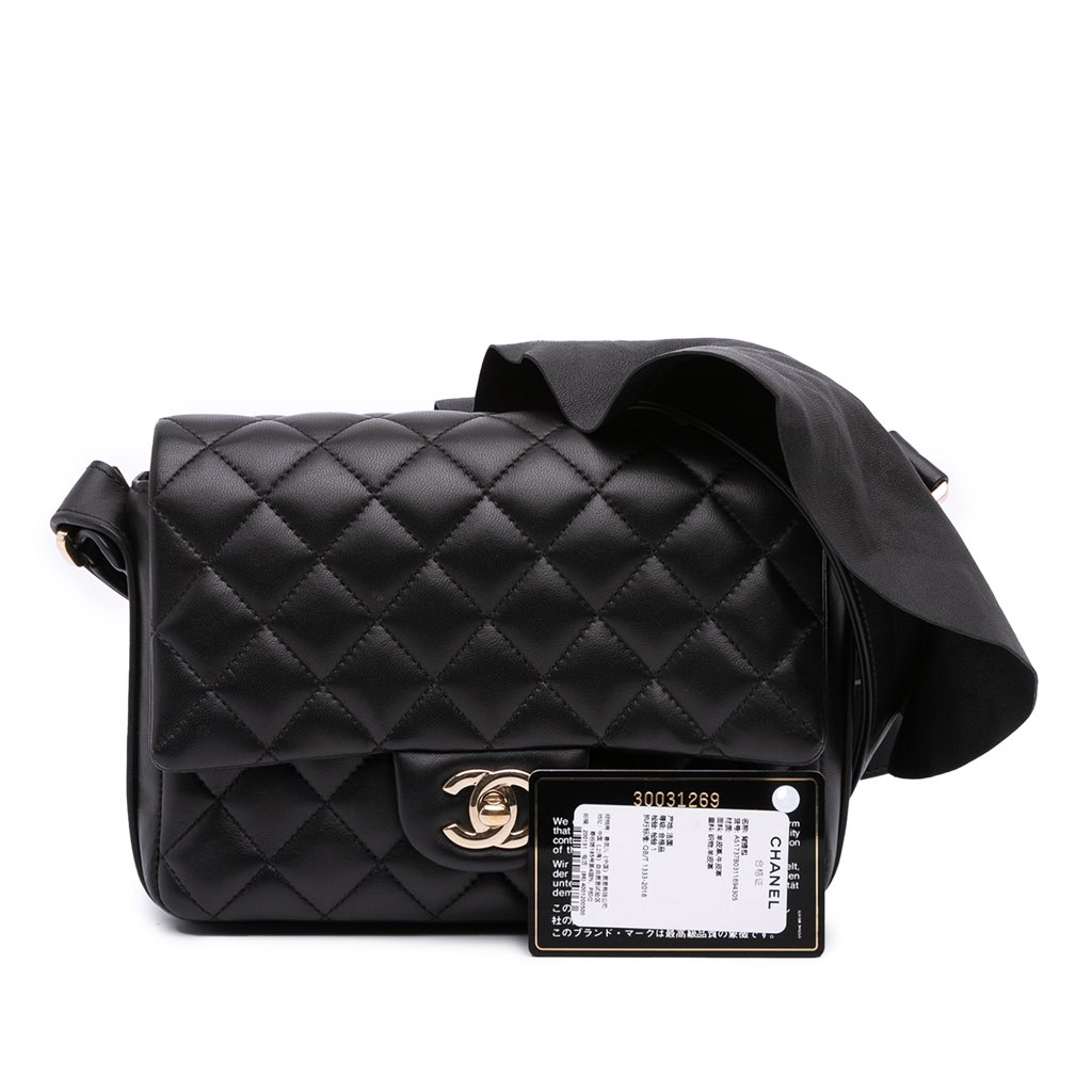 Chanel Quilted Calfskin Bolero de Chanel Flap - Image 14