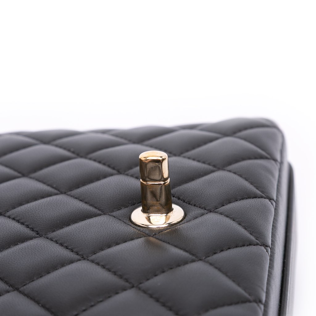 Chanel Quilted Calfskin Bolero de Chanel Flap - Image 10