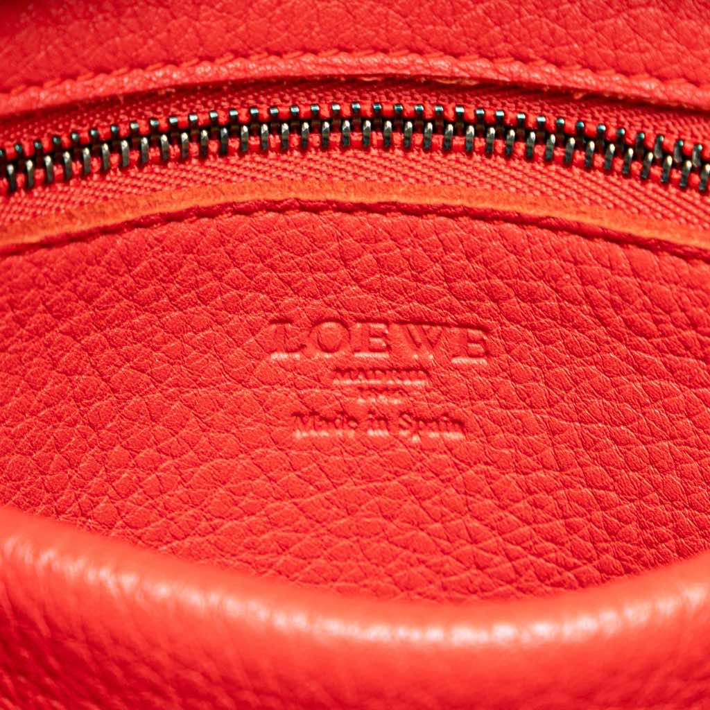 Loewe Suede Amazona 28 - 5