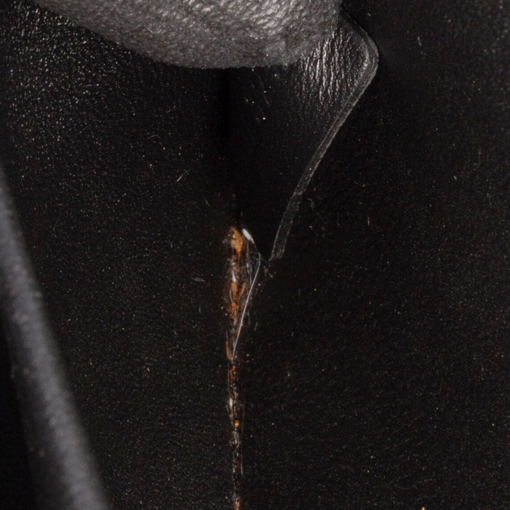 Celine Shiny Calfskin Claude Shoulder Bag - Side view