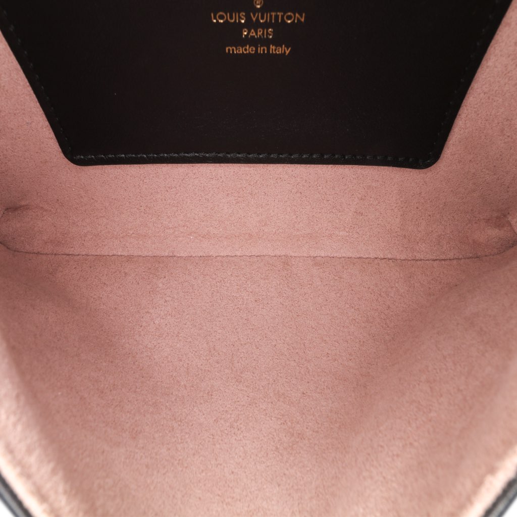 Louis Vuitton Monogram Embossed Pochette Coussin - 5