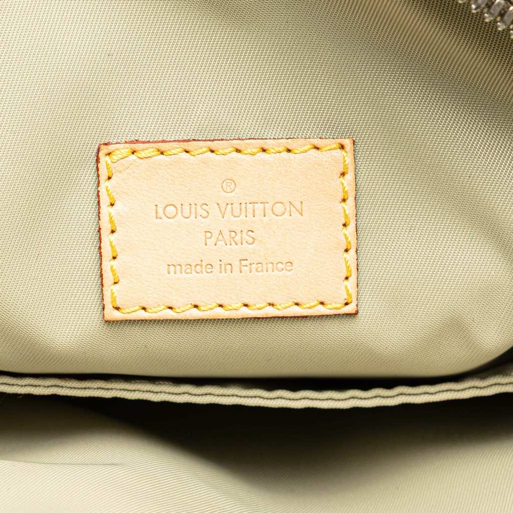 Louis Vuitton Damier Geant Citadin Messenger Bag - 5