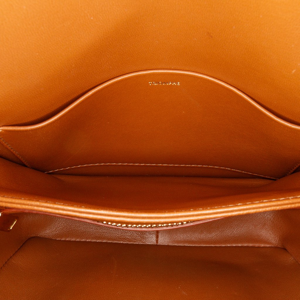 Celine Teen Canvas and Calfskin Triomphe Crossbody - 5