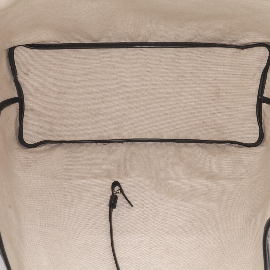 Goyard Goyardine Saint Louis PM - 4