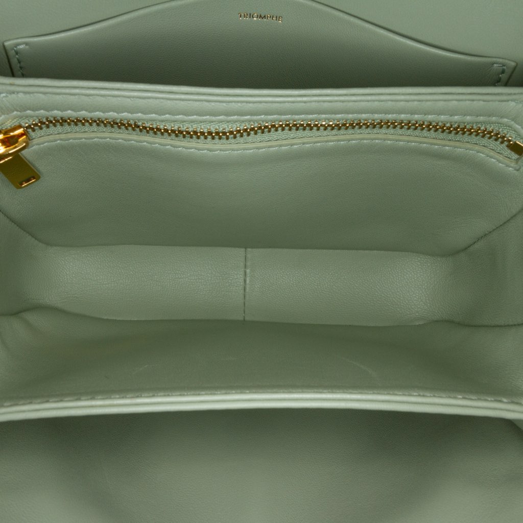 Celine Teen Triomphe Coated Canvas and Calfskin Triomphe Crossbody - 4