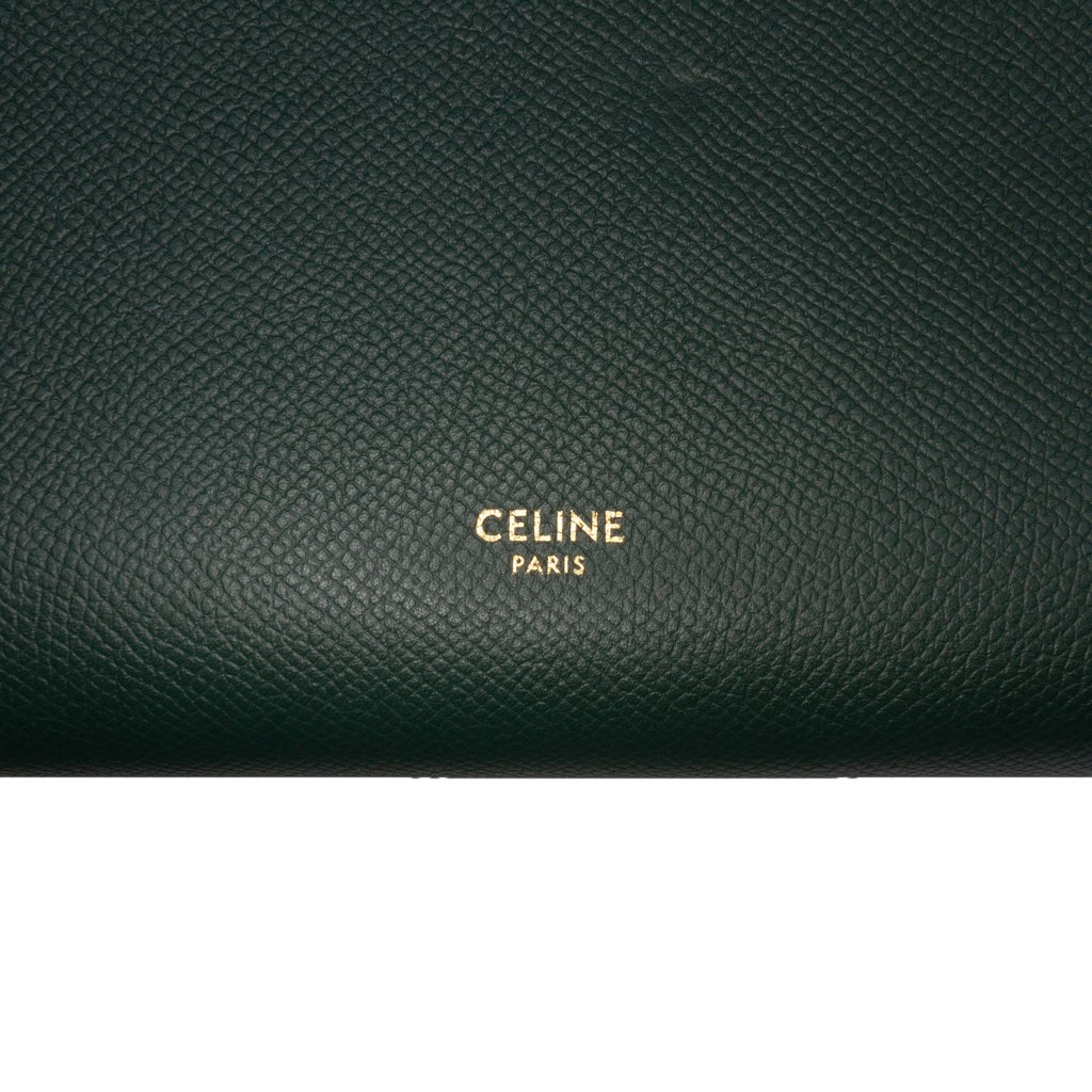 Celine Micro Grained Calfskin Belt Bag - 5