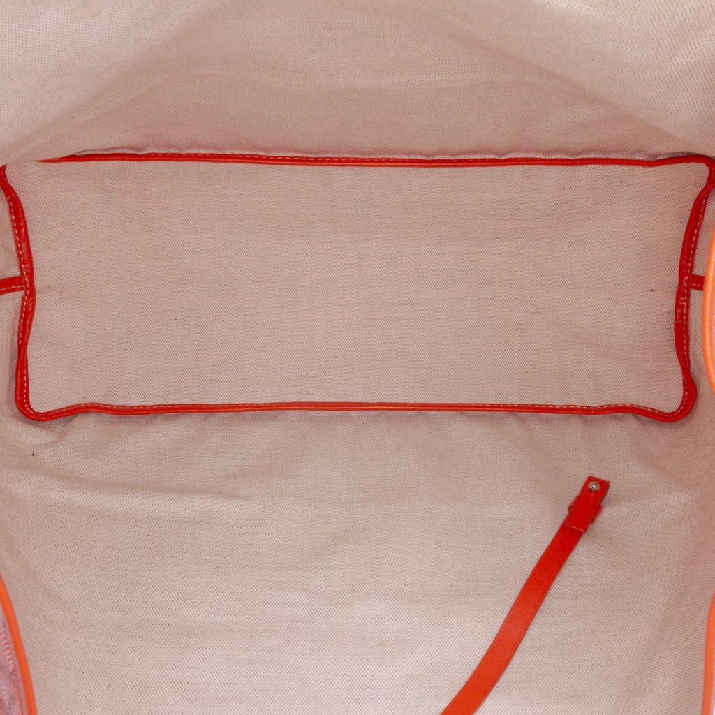 Goyard Goyardine Saint Louis PM - Side view