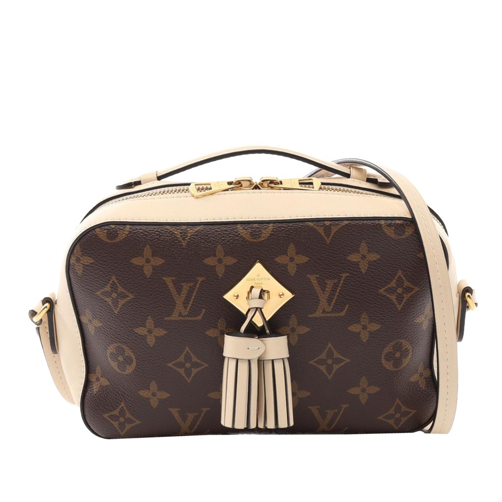 Louis Vuitton Monogram Saintonge