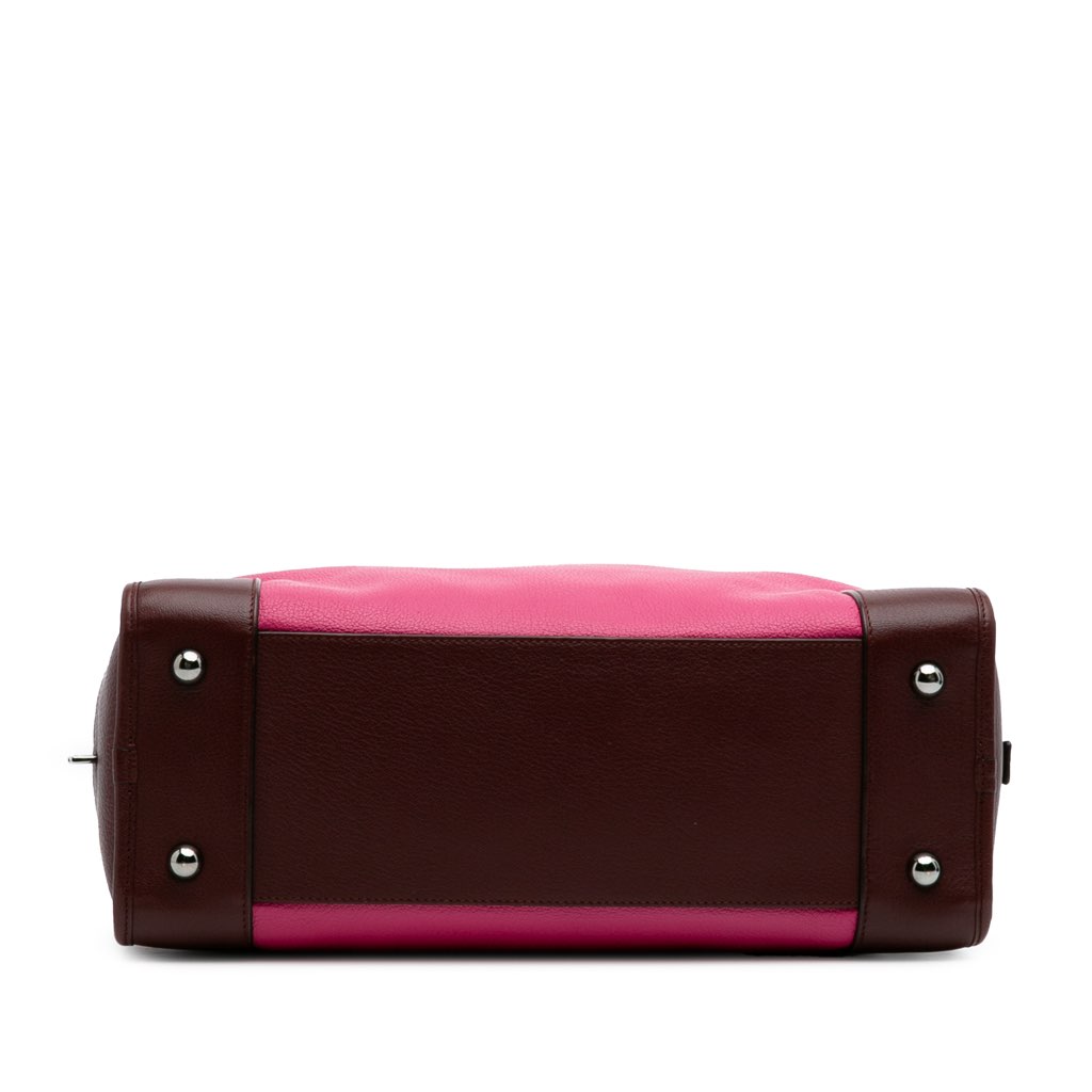 Loewe Tricolor Goatskin Amazona 36 - 3