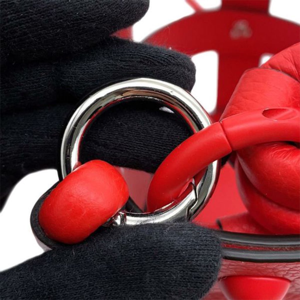 Salvatore Ferragamo Leather Cage Bucket Bag - Image 15