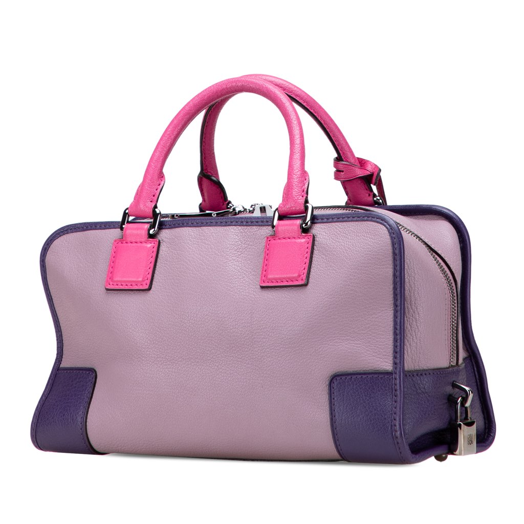 Loewe Tricolor Goatskin Amazona 28 - Back view