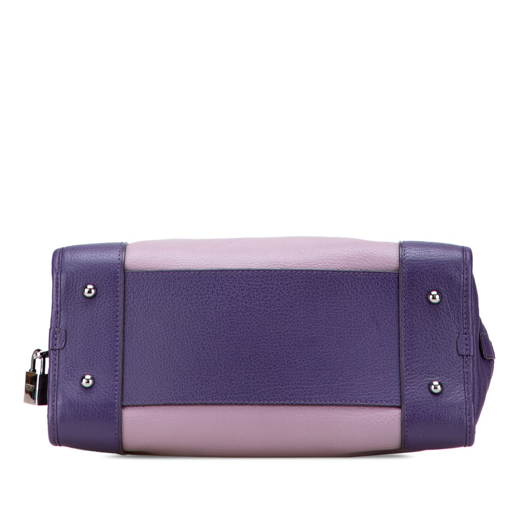 Loewe Tricolor Goatskin Amazona 28 - Image 6