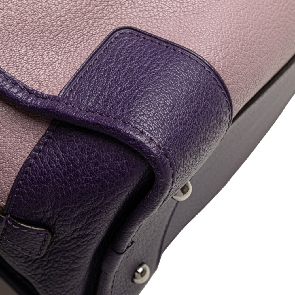 Loewe Tricolor Goatskin Amazona 28 - Image 11