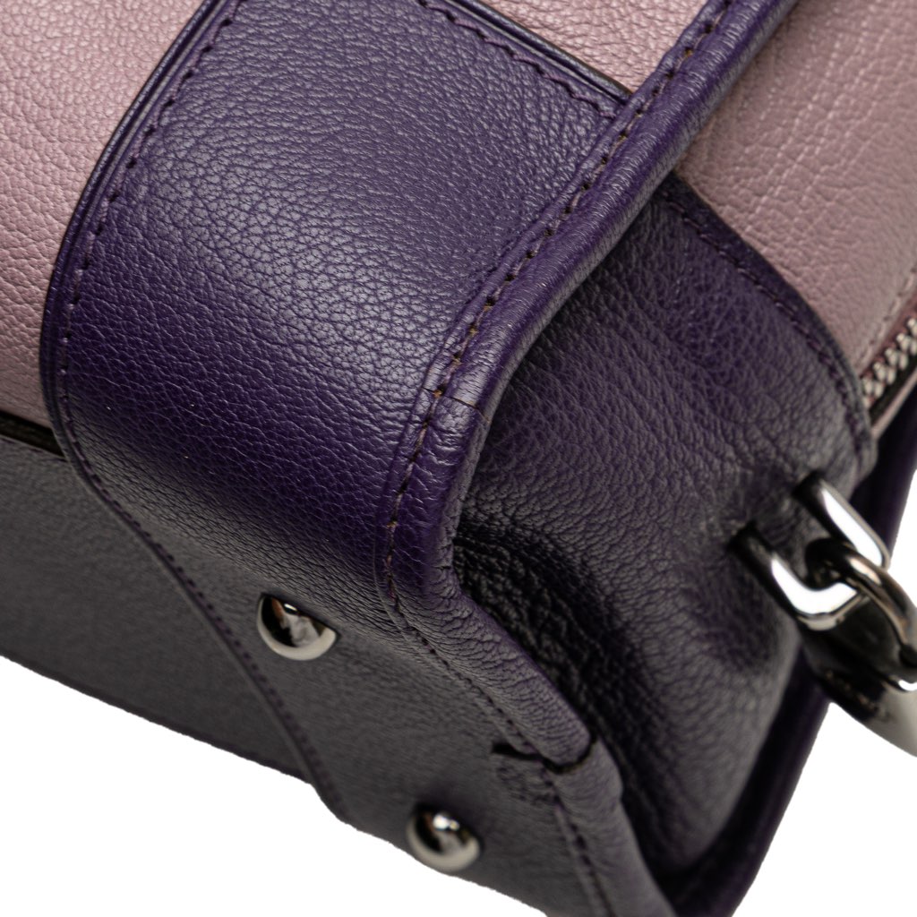 Loewe Tricolor Goatskin Amazona 28 - Image 12