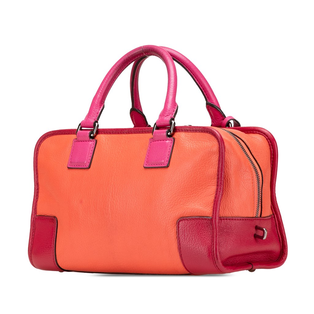 Loewe Tricolor Goatskin Amazona 28 - Back view