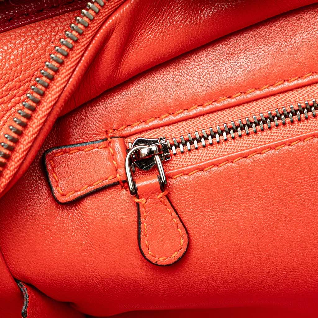 Loewe Tricolor Goatskin Amazona 28 - Detail 2