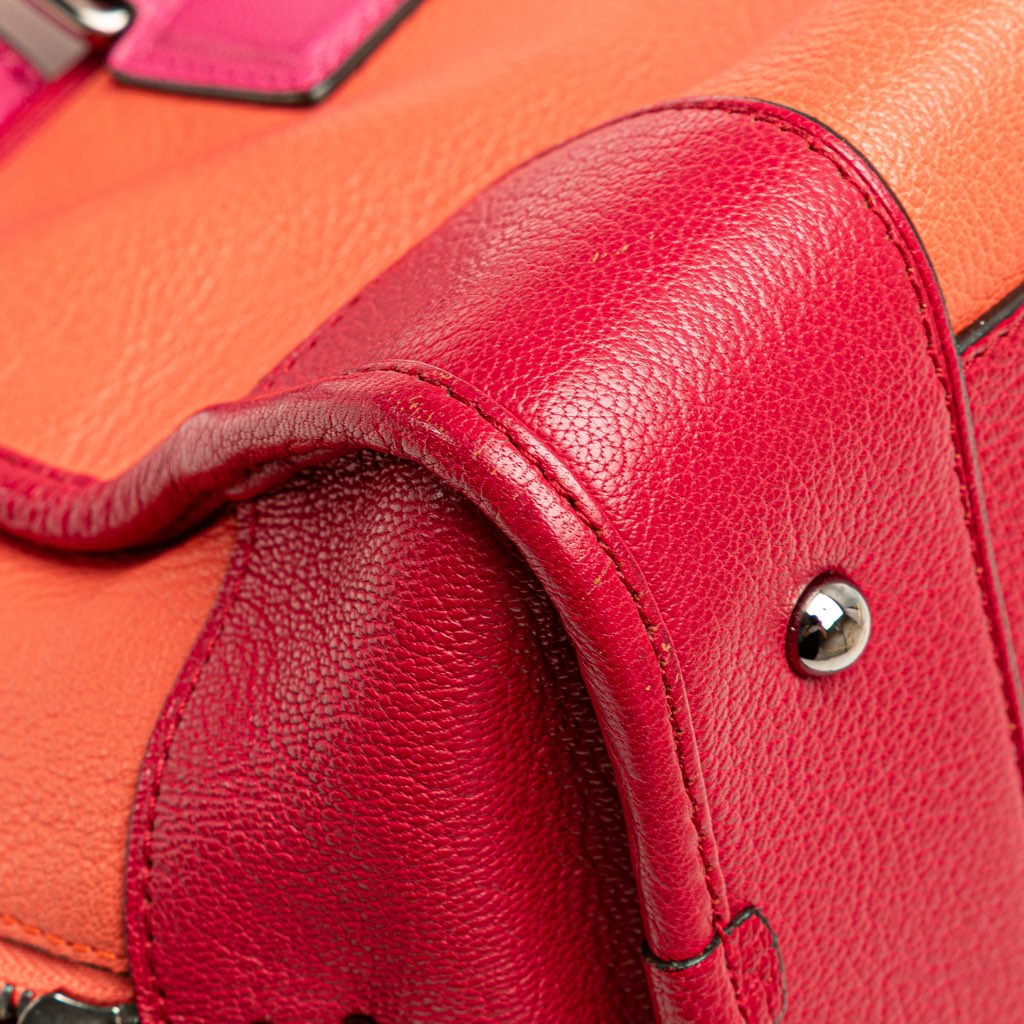 Loewe Tricolor Goatskin Amazona 28 - Image 12