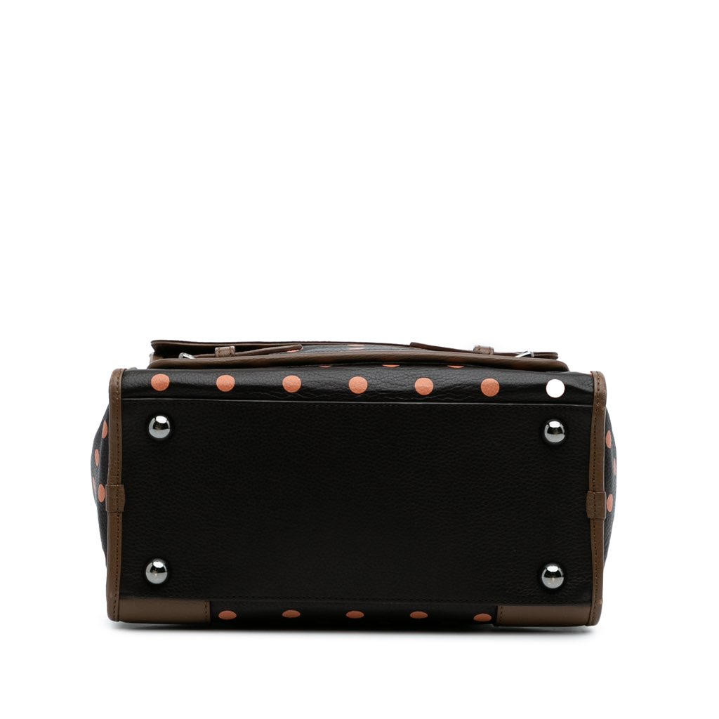 Loewe Leather Polka Dots Cruz Satchel - 3