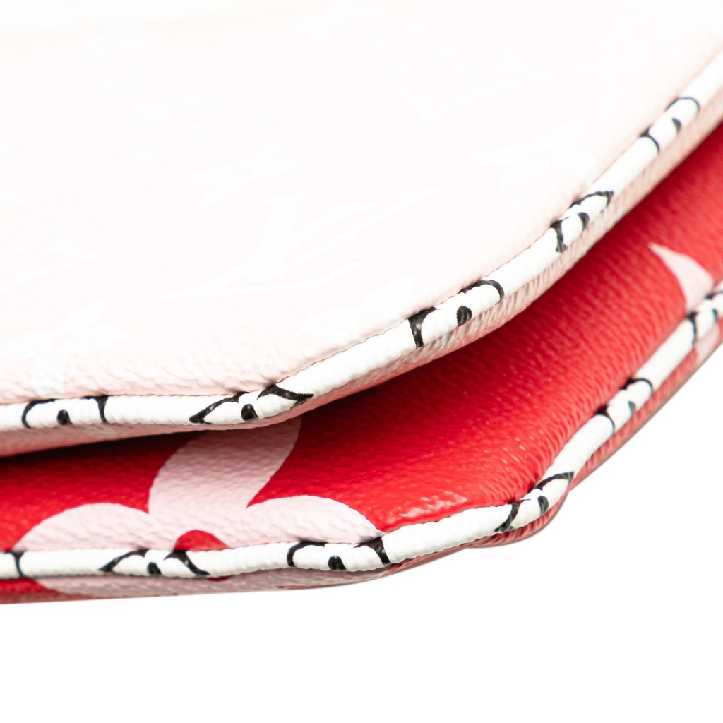 Louis Vuitton Limited Edition Monogram Giant Double Zip Pochette - Image 11