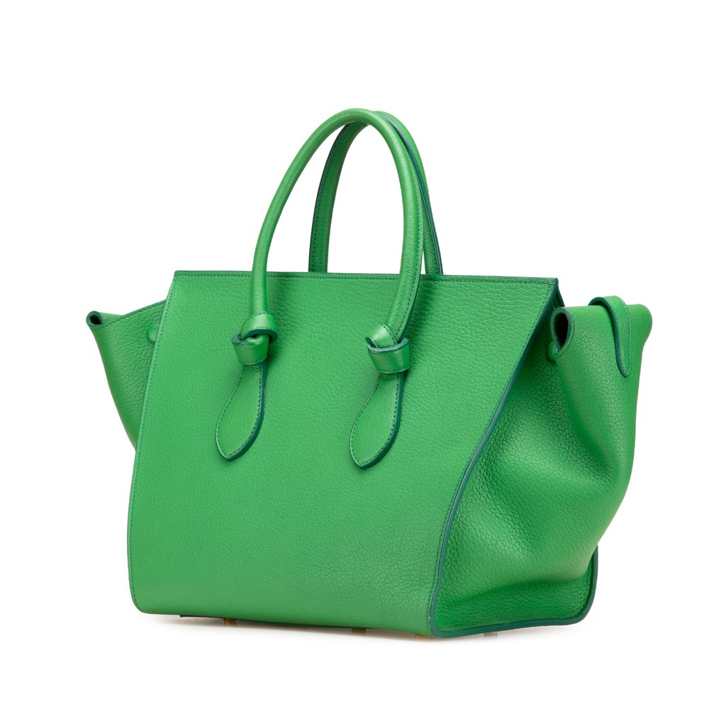 Celine Small Crisped Calfskin Tie Knot Handbag - 2