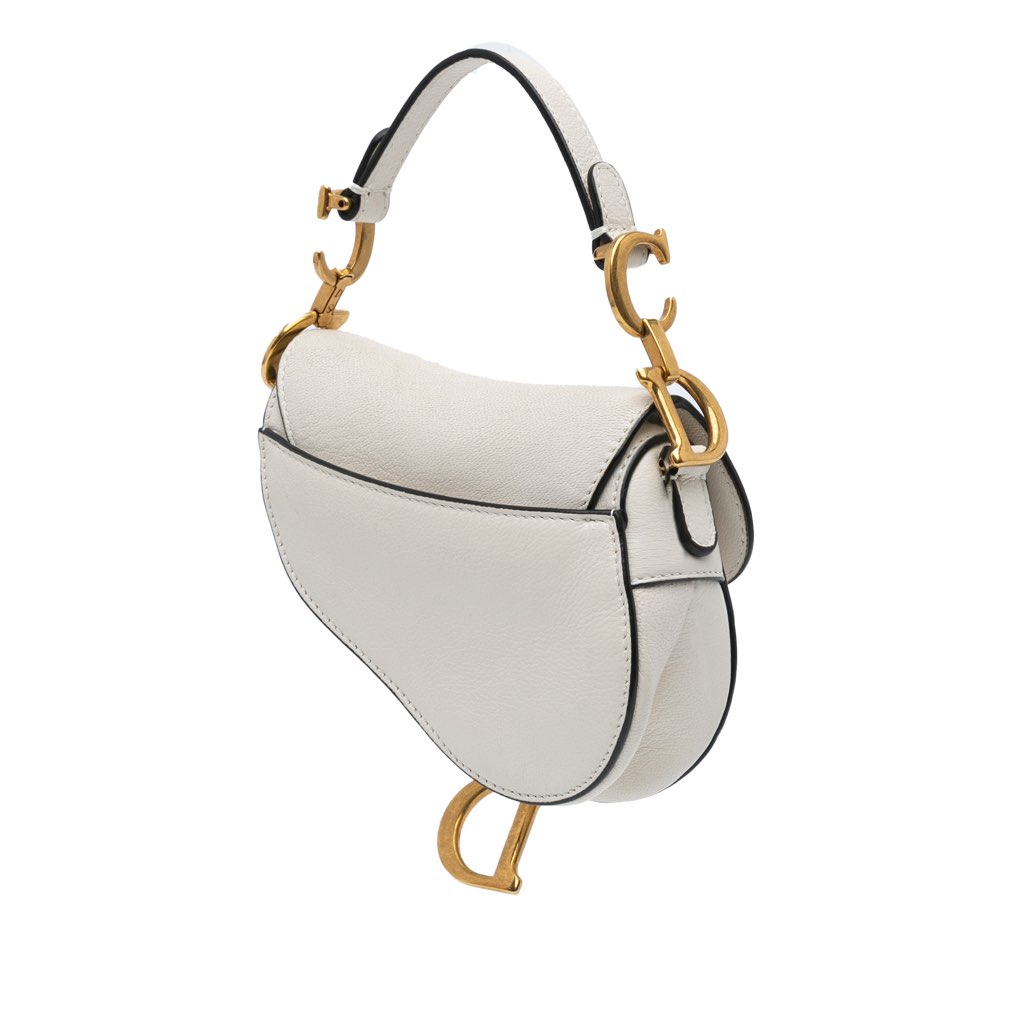 Dior Micro Goatskin Saddle - Back view