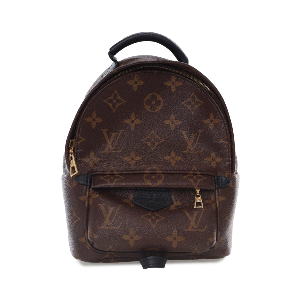 Louis Vuitton Monogram Mini Palm Springs