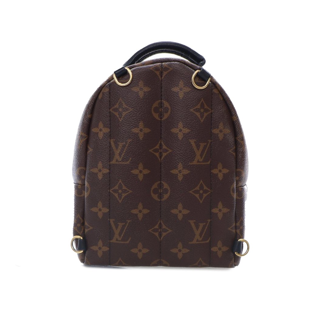 Louis Vuitton Monogram Mini Palm Springs - 2