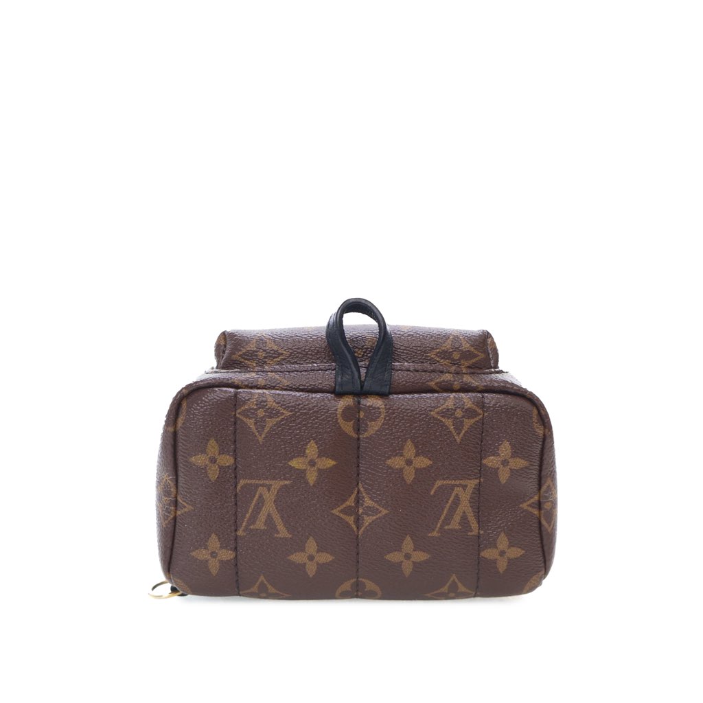 Louis Vuitton Monogram Mini Palm Springs - 3