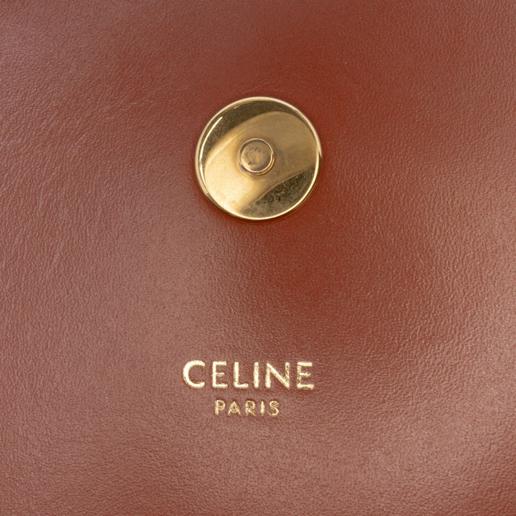 Celine Triomphe Coated Canvas and Calfskin Besace Crossbody - 5