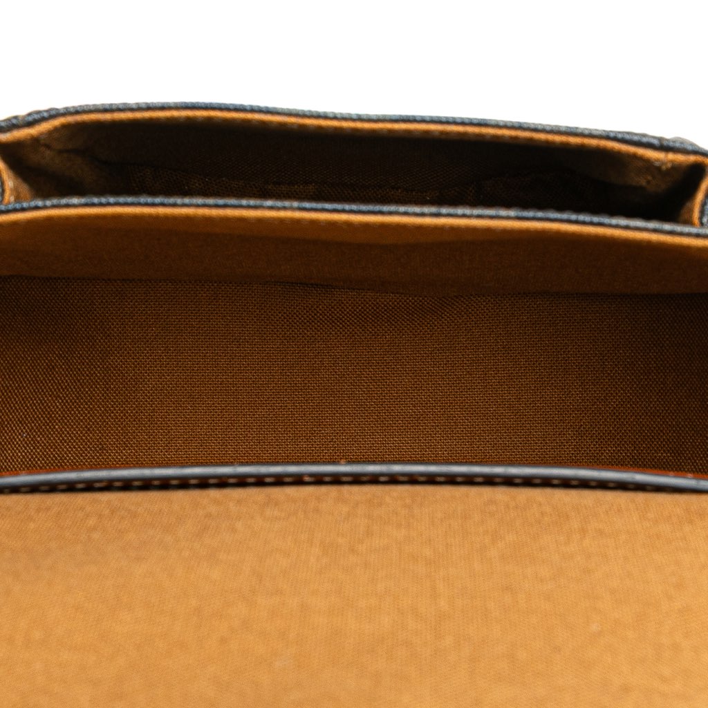 Celine Medium Triomphe Coated Canvas Folco Crossbody - 4