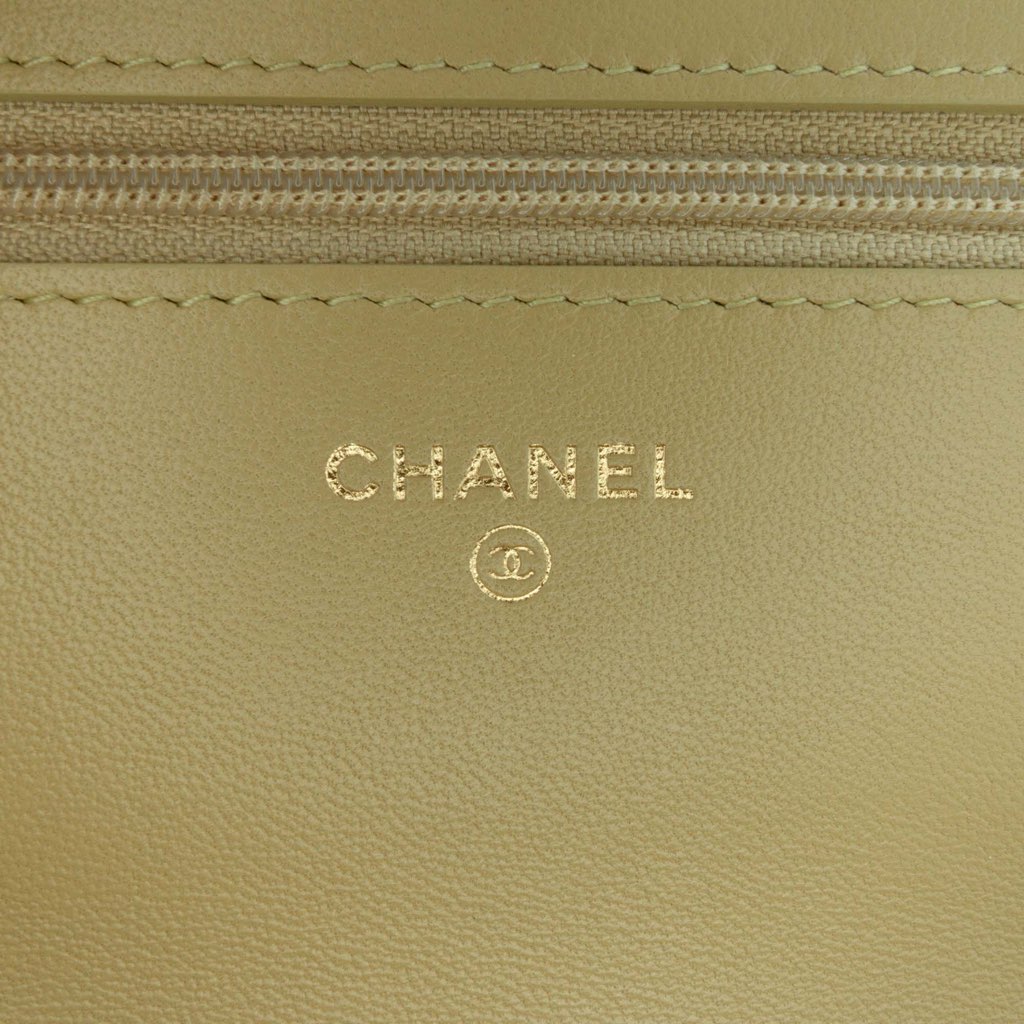 Chanel Quilted Lambskin 19 Wallet on Chain - 5